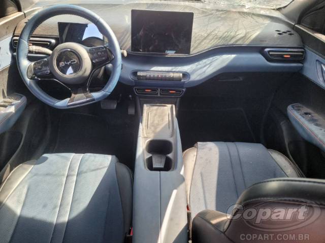 2025 BYD DOLPHIN MINI 