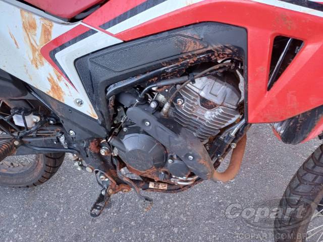 2025 HONDA XR 300L 