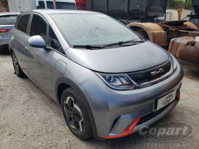 2024 BYD DOLPHIN 