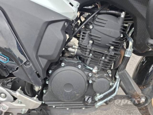 2025 YAMAHA FZ25 FAZER 