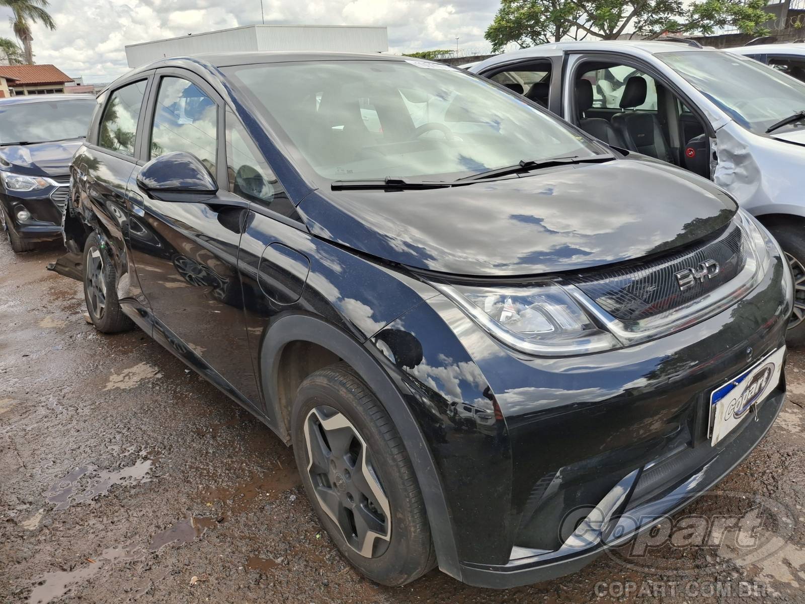 BYD Dolphin 2026 EV GS 70 kW