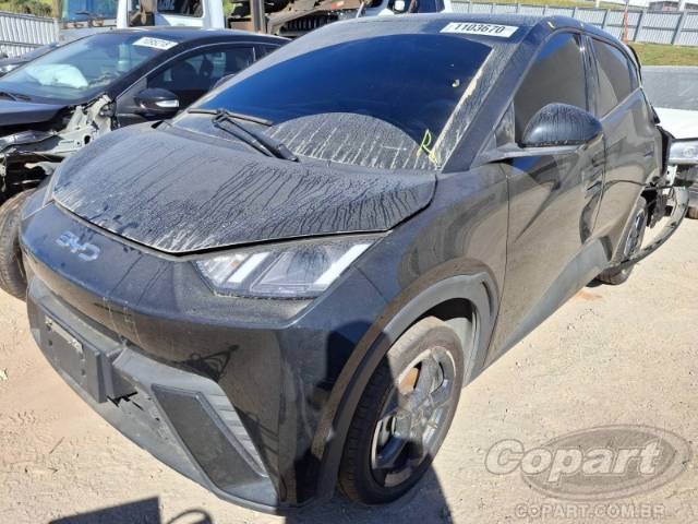 2025 BYD DOLPHIN MINI 