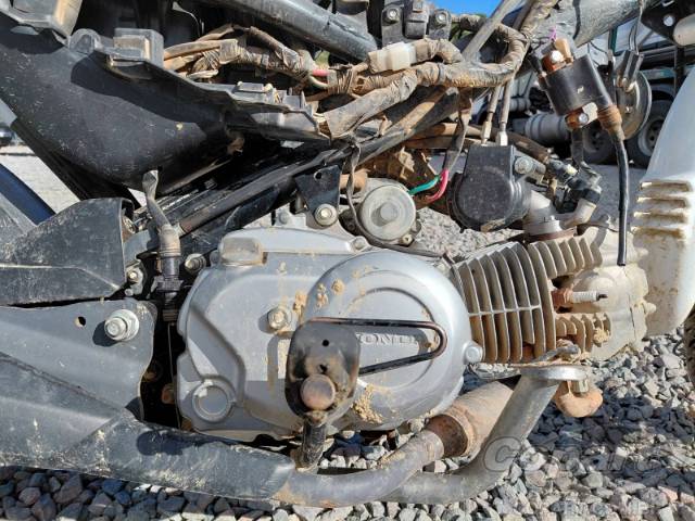 2026 HONDA POP 