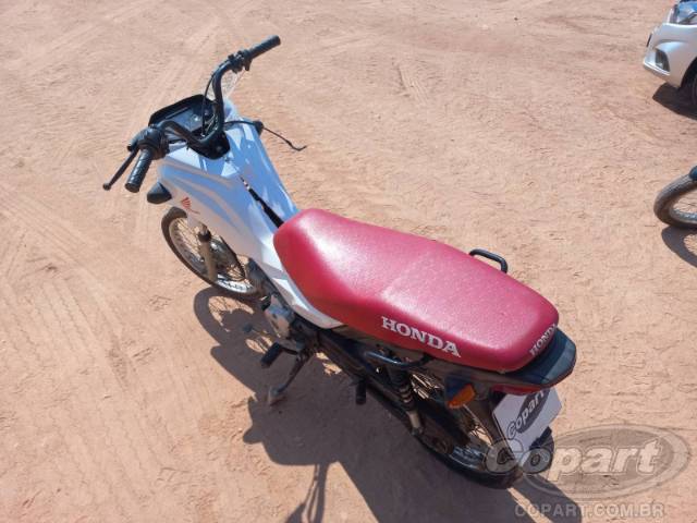 2019 HONDA POP 