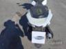 2024 HONDA PCX 