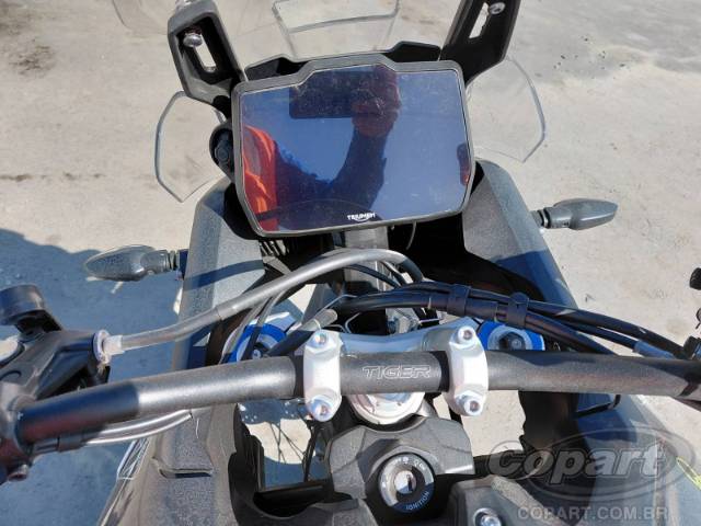 2024 TRIUMPH TIGER 