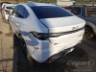 2025 BYD KING 