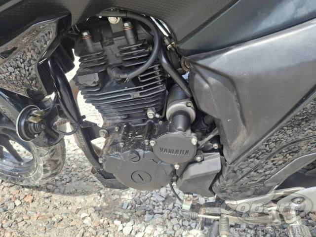 2024 YAMAHA FZ25 FAZER 