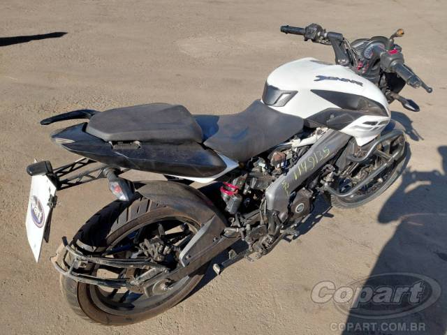 2024 BAJAJ DOMINAR 