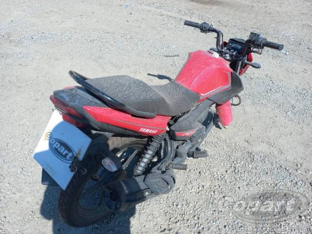 2024 YAMAHA YBR 150 FACTOR 