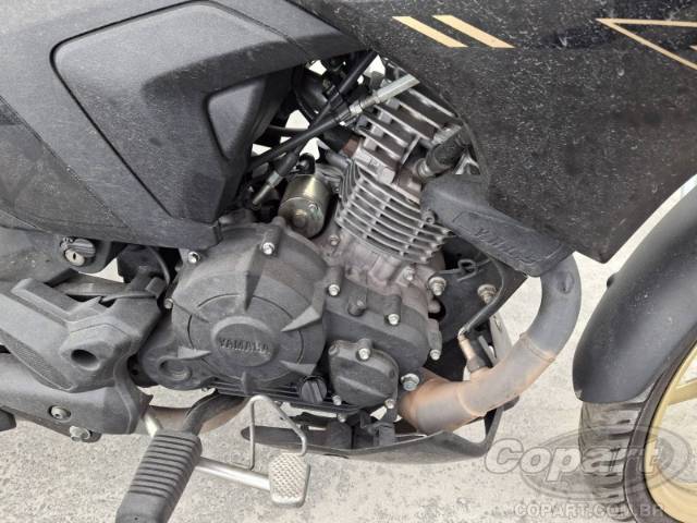 2025 YAMAHA FACTOR 