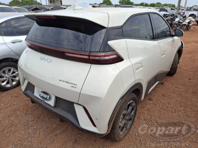 2026 BYD DOLPHIN MINI 