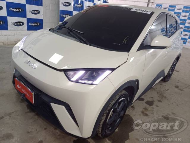 2025 BYD DOLPHIN MINI 