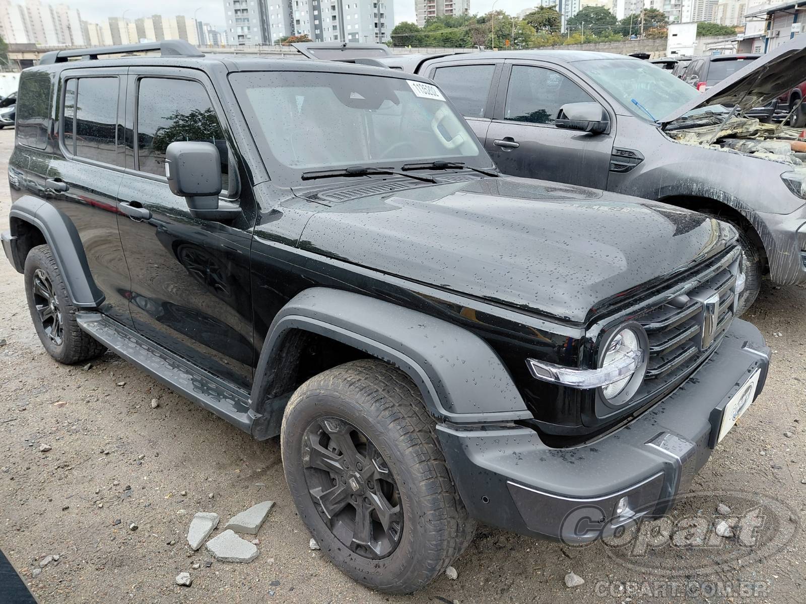 GWM Tank 300 Hi4-T 2.0 16V Turbo
