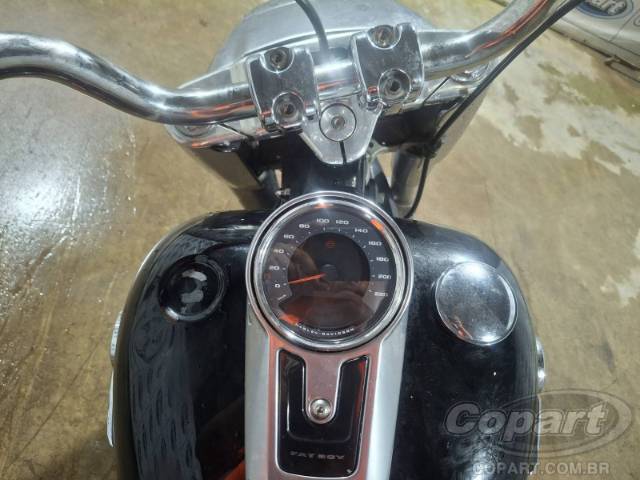 2019 HARLEY-DAVIDSON SOFTAIL 