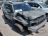 2025 JEEP RENEGADE 
