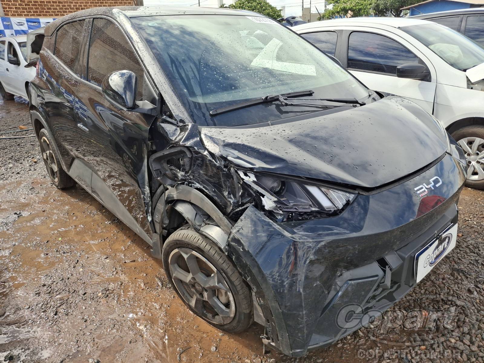 Veículo BYD DOLPHIN MINI BYD Dolphin Mini EV GS5 55 kW 2025 2025 em leilão