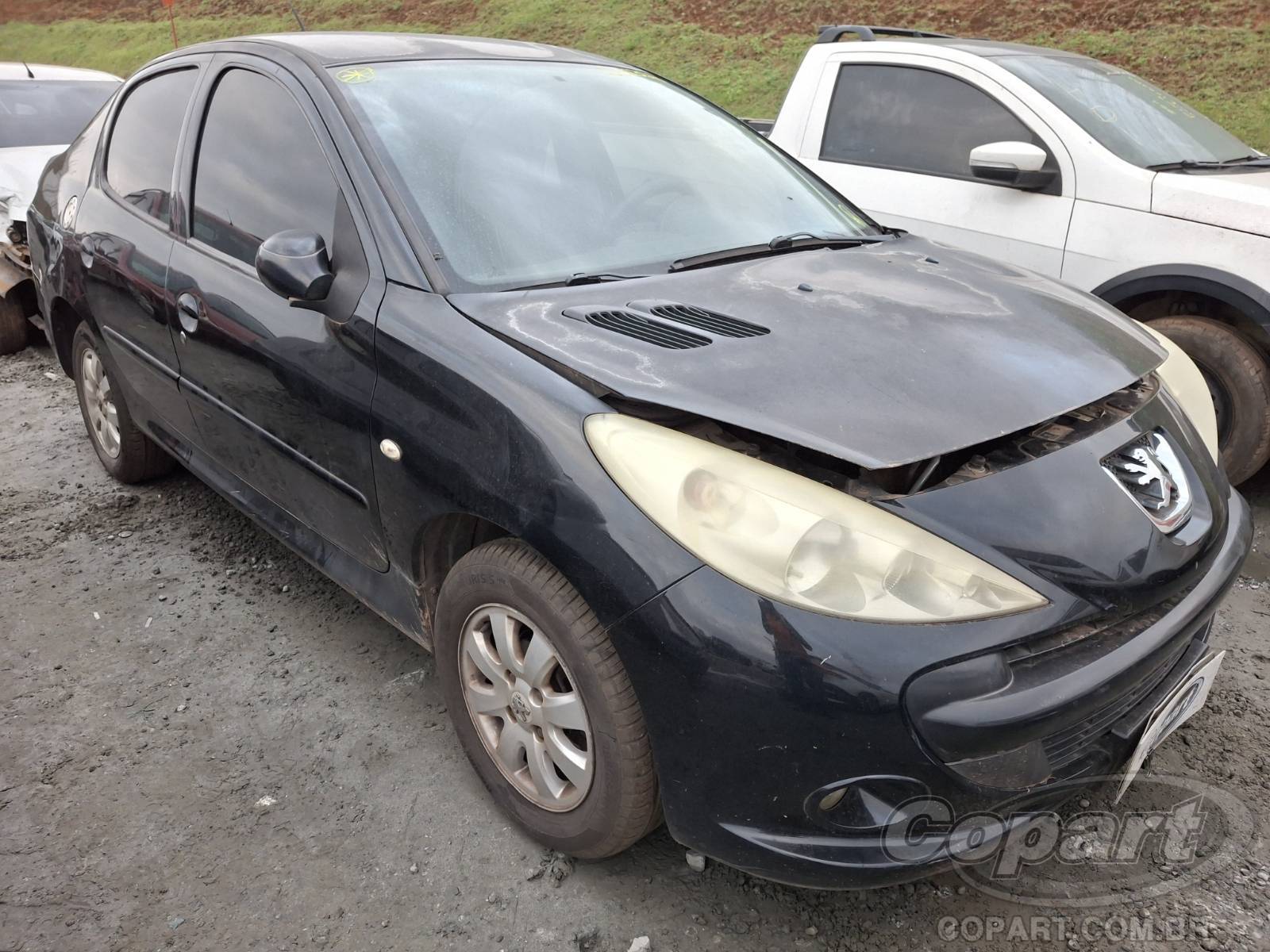 Veículo Peugeot 207 Peugeot 207 Passion 1.4 2010 2010 em leilão