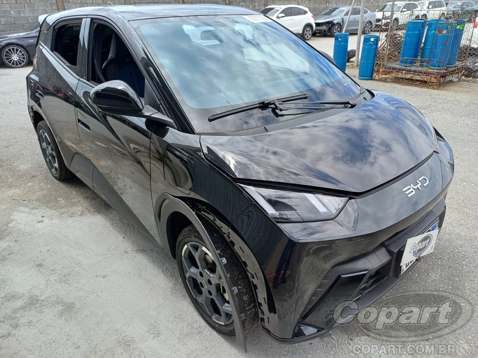 BYD Dolphin Mini 2026