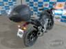 2024 HONDA CB 300F 