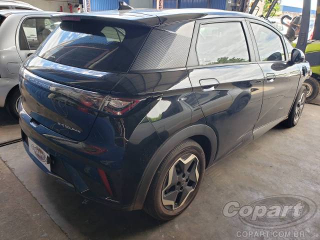 2024 BYD DOLPHIN 