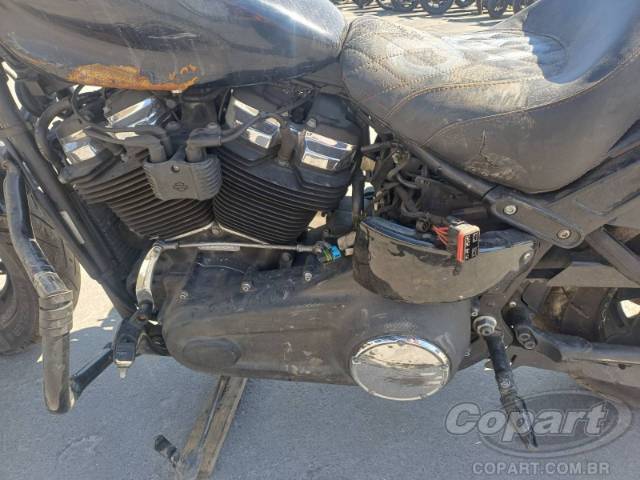 2019 HARLEY-DAVIDSON SOFTAIL 