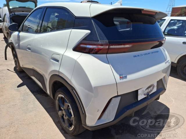 2025 BYD DOLPHIN MINI 