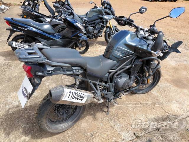2019 TRIUMPH TIGER 