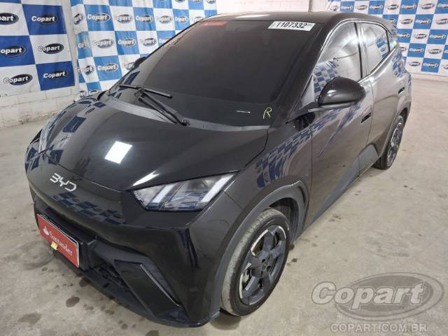 2025 BYD DOLPHIN MINI 