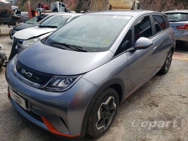 2024 BYD DOLPHIN 