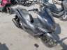 2024 HONDA PCX 