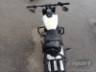 2019 HARLEY-DAVIDSON SOFTAIL 