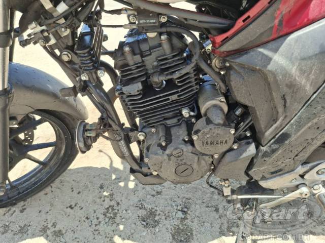 2024 YAMAHA FZ25 FAZER 