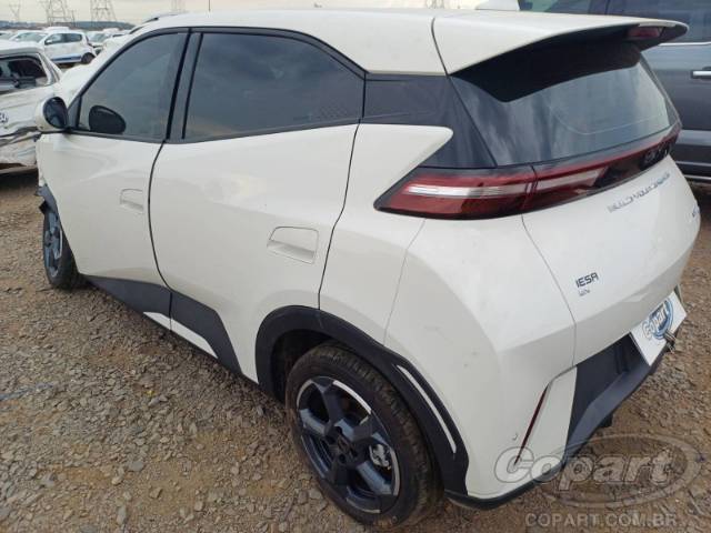 2025 BYD DOLPHIN MINI 