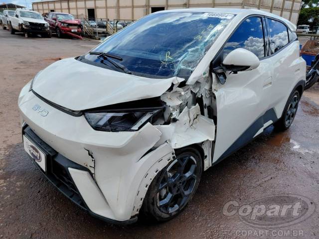 2026 BYD DOLPHIN MINI 