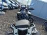 2026 TRIUMPH TIGER 