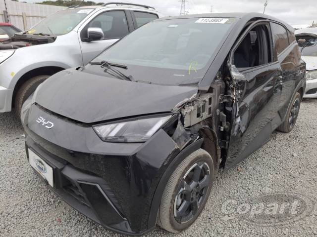 2025 BYD DOLPHIN MINI 