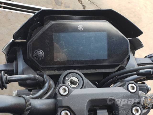 2025 YAMAHA FZ25 FAZER 