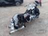 2015 HARLEY-DAVIDSON CVO 