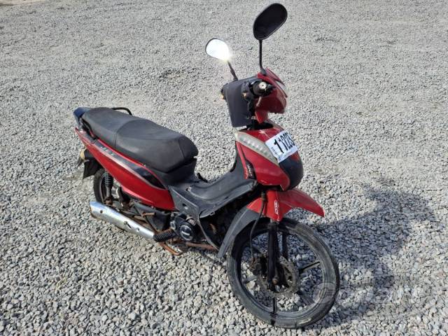 2022 SHINERAY 50Q 