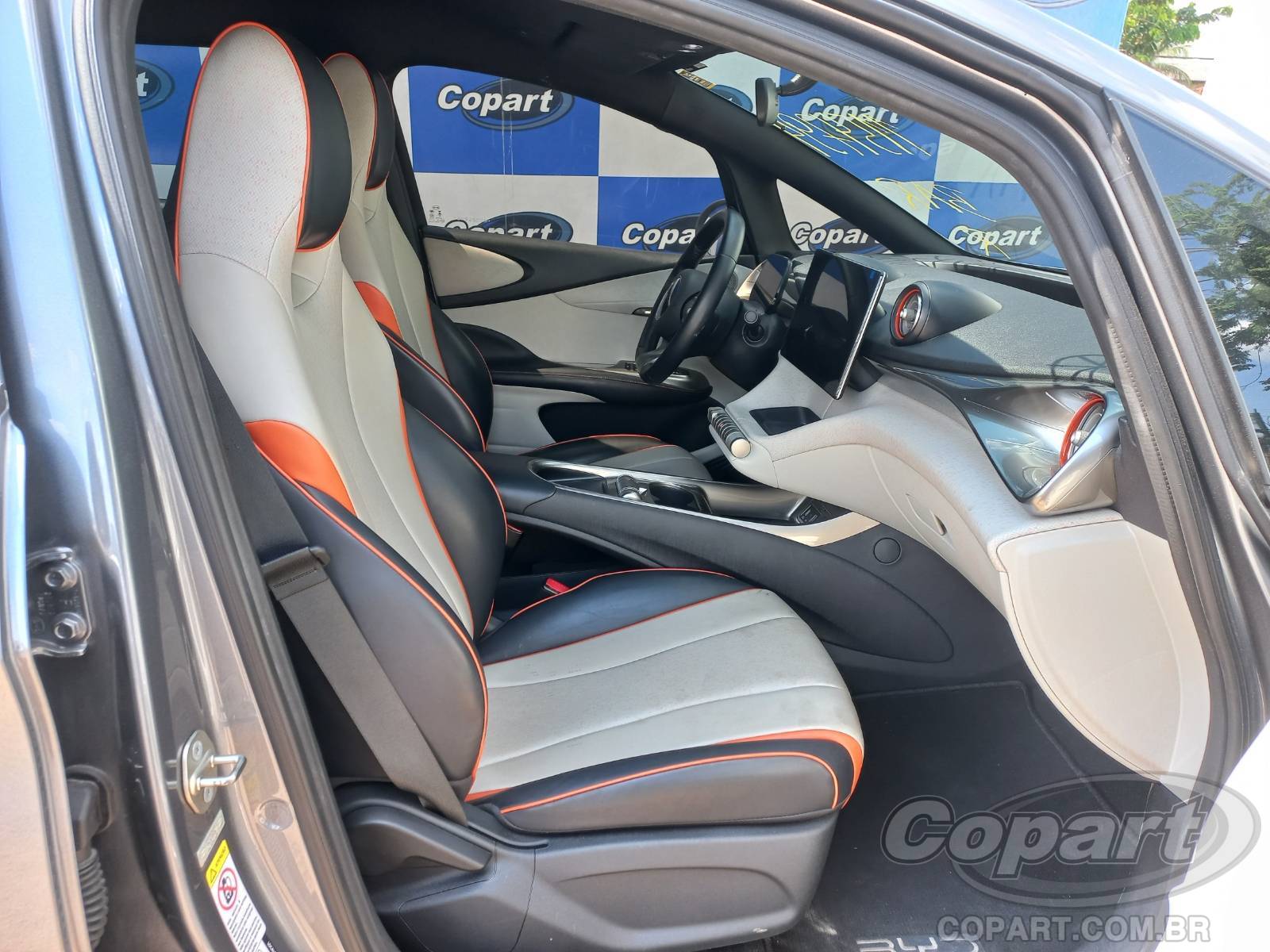 Foto 5: 2024 BYD DOLPHIN
