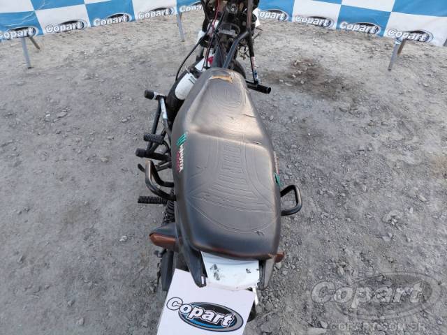 2019 HONDA POP 