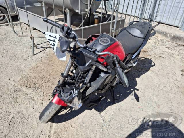 2023 HONDA CB 300F 