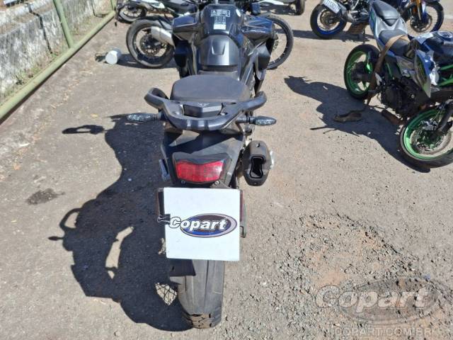 2024 TRIUMPH TIGER 