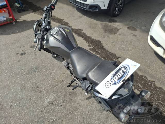 2024 YAMAHA FZ25 FAZER 