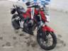 2024 HONDA CB 300F 