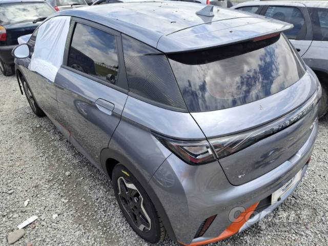 2024 BYD DOLPHIN 