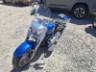 2025 HARLEY-DAVIDSON SOFTAIL 