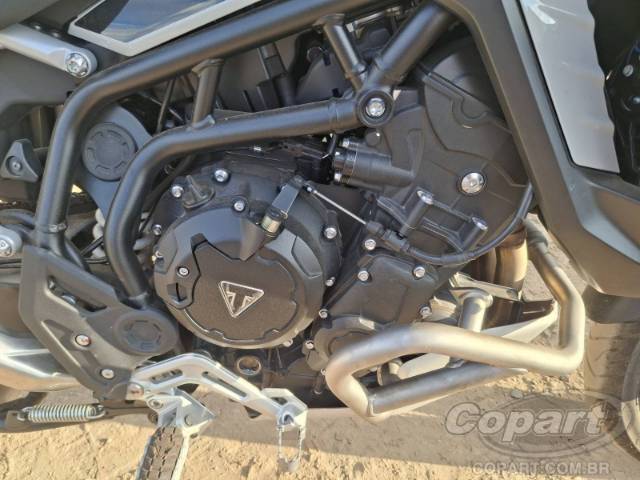 2026 TRIUMPH TIGER 
