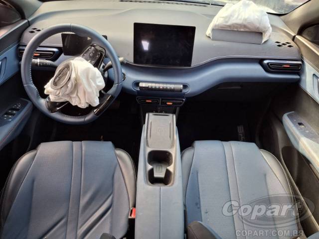 2025 BYD DOLPHIN MINI 